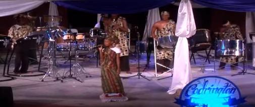 The Codrington Pan Family Steelpan Cover